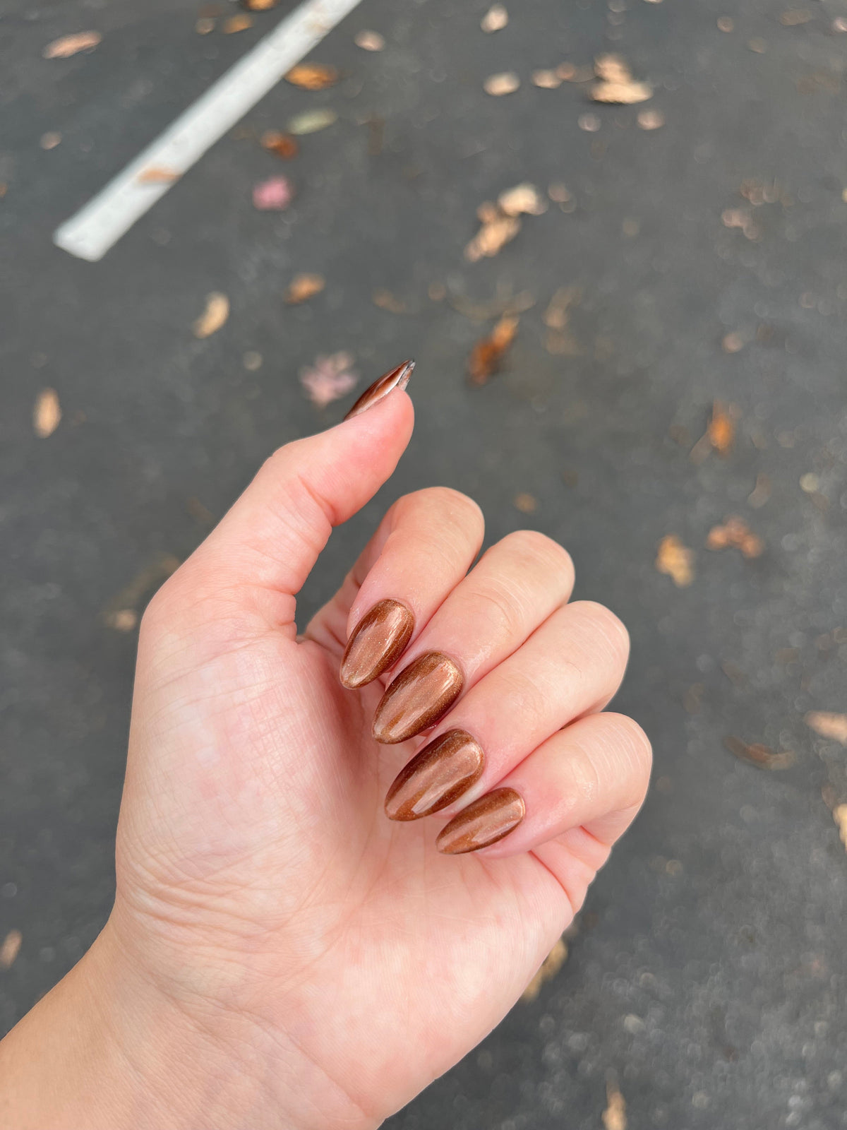Gingerbread Chrome