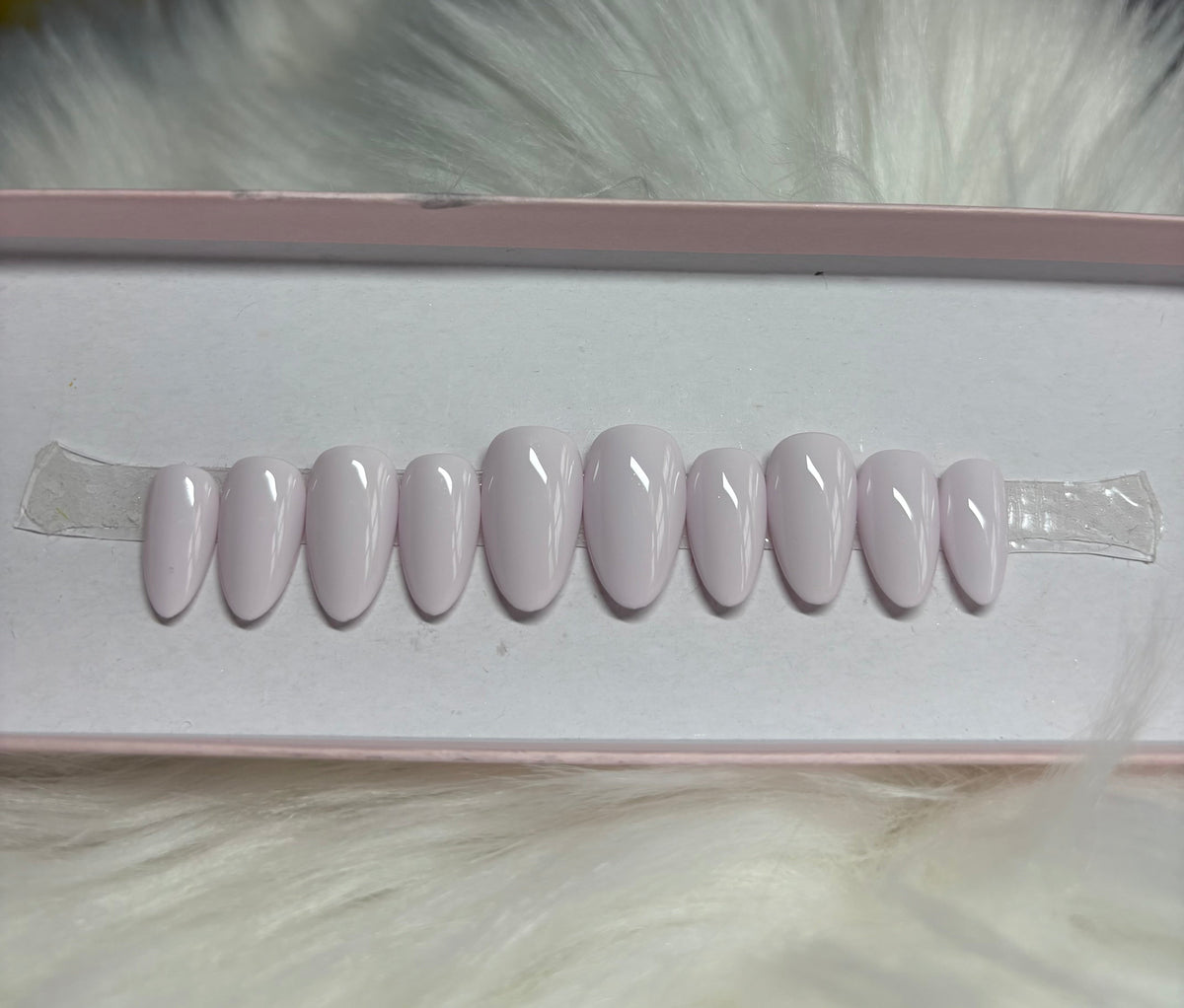 Snow Lilac