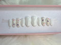 real dried pressed flowers milky white gold flakes spring press-on nails by Polished by Maddie