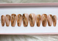 fall brown marble press-on nails by Polished by Maddie